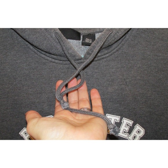 Pennant Unisex University Of Rochester Yellowjackets 2016 Hooded Sweatshirt Sz M - Picture 4 of 9